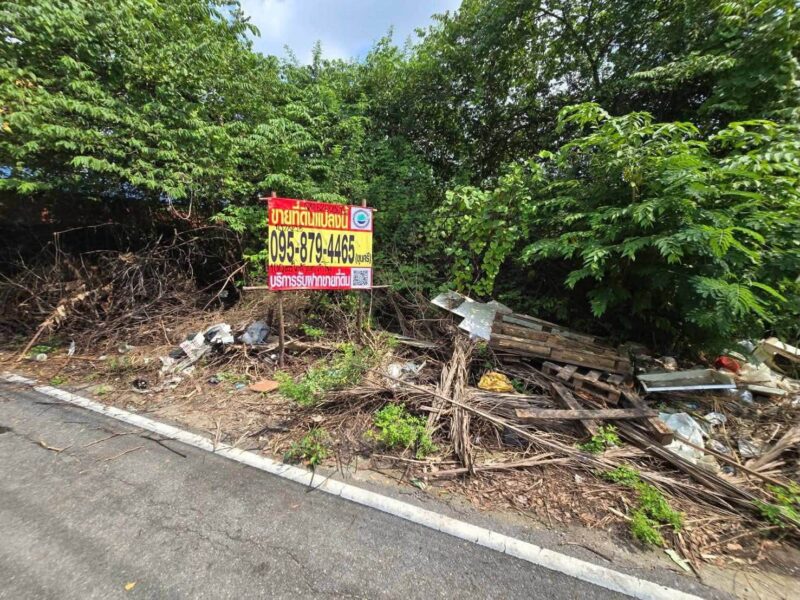 ขายด่วนที่ดินใกล้ศูนย์กระจายสินค้าโลตัส 100 ตรว ติดถนนลาดยางสาธารณะ ต.ลำโพ อ.บางบัวทอง จ.นนทบุรี