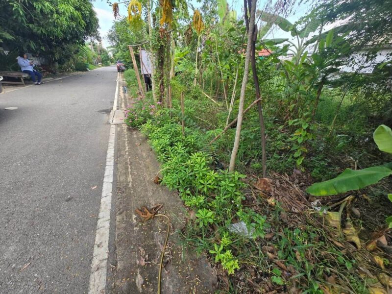 ขายด่วนที่ดิน 52 ตรว ติดถนนลาดยางสาธารณะ ถมแล้ว ต.บางคูรัด อ.บางบัวทอง จ.นนทบุรี