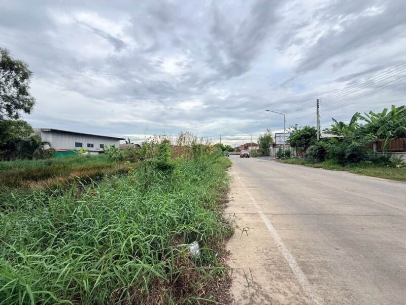 ขายด่วนที่ดินคลองสอง 363 ตรว ติดถนนคอนกรีต ซ.บงกช 69 อ.คลองหลวง จ.ปทุมธานี