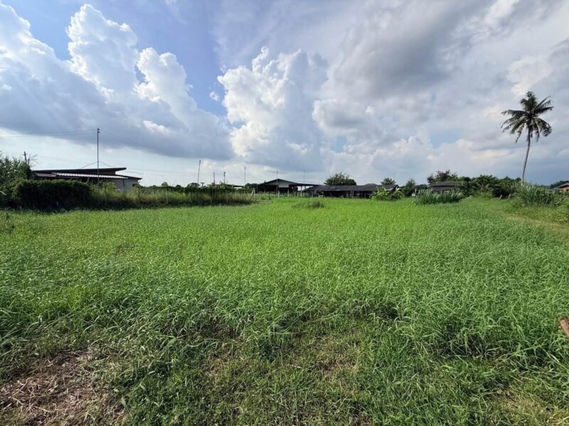 ขายด่วนที่ดิน 182 ตรว เหมาะสร้างบ้านสวน ต.สวนป่าน อ.เมืองนครปฐม จ.นครปฐม