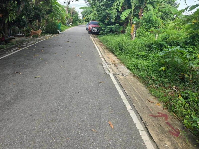 ขายด่วนที่ดิน 52 ตรว ติดถนนลาดยางสาธารณะ ถมแล้ว ต.บางคูรัด อ.บางบัวทอง จ.นนทบุรี