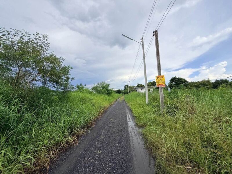 ขายด่วนที่ดินใกล้รพ.คลองหลวง 130 ตรว ติดถนนสาธารณะ ซ.คลองห้าตะวันออก 30 อ.คลองหลวง จ.ปทุมธานี