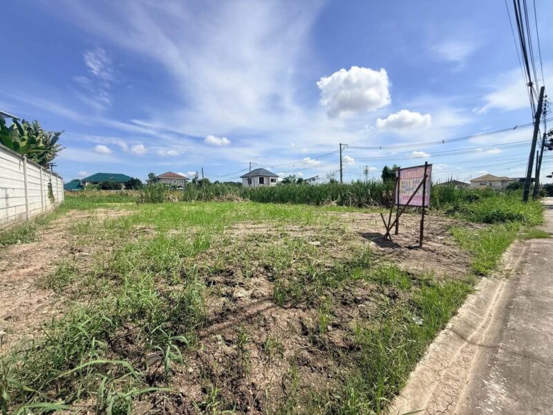 ขายด่วนที่ดินสายสอง 90 ตรว ติดถนนคอนกรีต ถมแล้ว พุทธมณฑลสาย 2 ซอย 21 เขตตลิ่งชัน กทม.