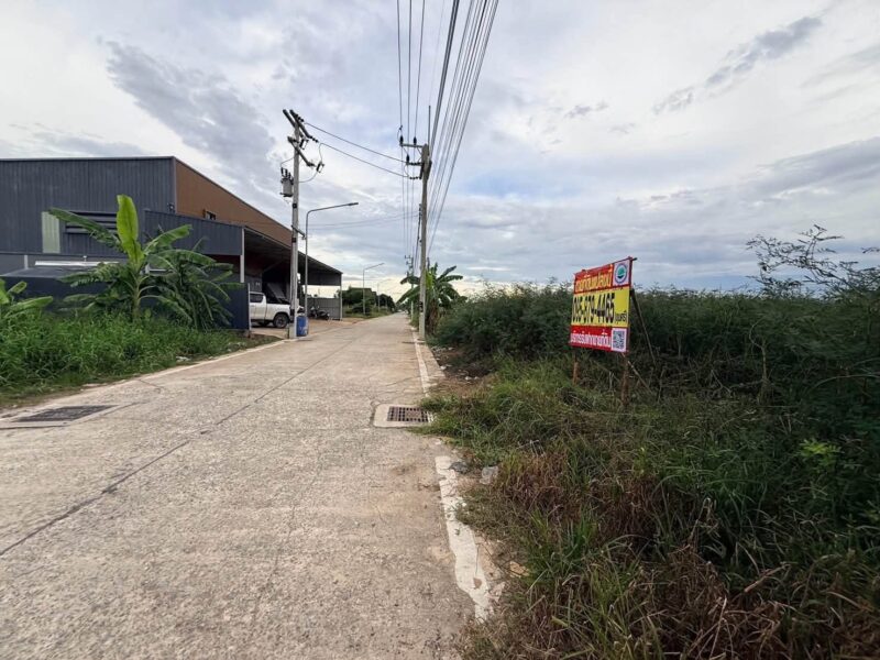 ขายด่วนที่ดิน 100 ตรว ติดถนนคอนกรีตสาธารณะ ซ.บงกช 71 อ.คลองหลวง จ.ปทุมธานี