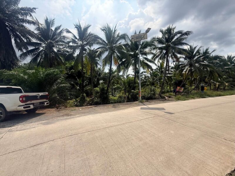 ขายที่ดินนครชัยศรี 641 ตรว ติดถนนสาธารณะ ต.ขุนแก้ว อ.นครชัยศรี จ.นครปฐม