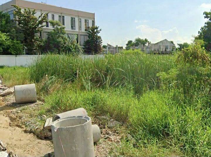 ขายด่วนที่ดินใกล้ซีคอนสแควร์ 462 ตรว ติดถนนคอนกรีตสาธารณะ แปลงมุม ถ.พัฒนาการตัดใหม่ ซอย 94 ประเวศ กทม.