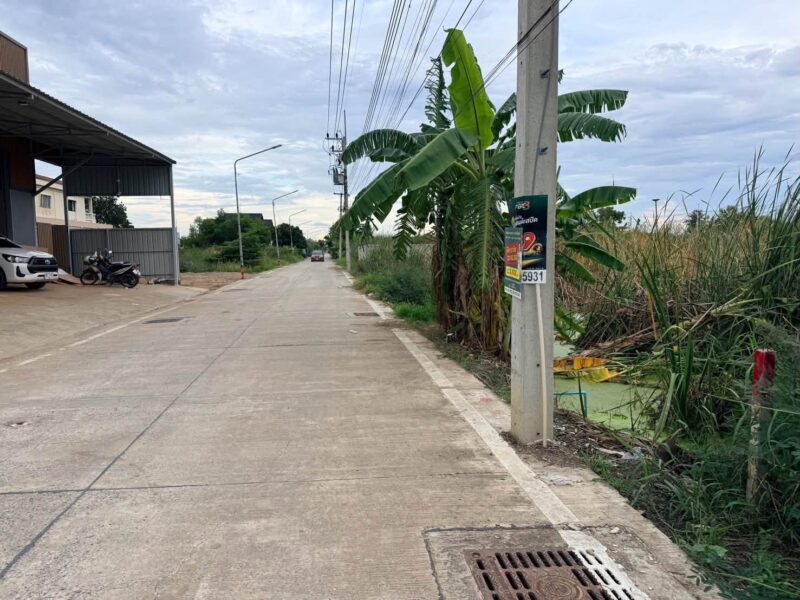 ขายด่วนที่ดิน 100 ตรว ติดถนนคอนกรีตสาธารณะ ซ.บงกช 71 อ.คลองหลวง จ.ปทุมธานี