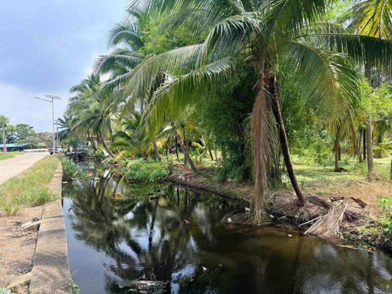 ขายที่ดินนครชัยศรี 641 ตรว ติดถนนสาธารณะ ต.ขุนแก้ว อ.นครชัยศรี จ.นครปฐม