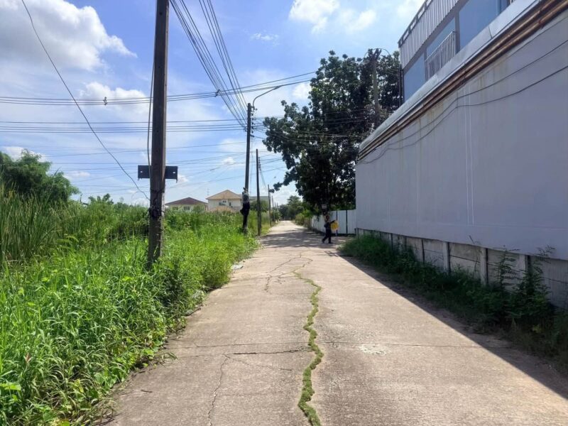 ขายด่วนที่ดินสายสอง 90 ตรว ติดถนนคอนกรีต ถมแล้ว พุทธมณฑลสาย 2 ซอย 21 เขตตลิ่งชัน กทม.