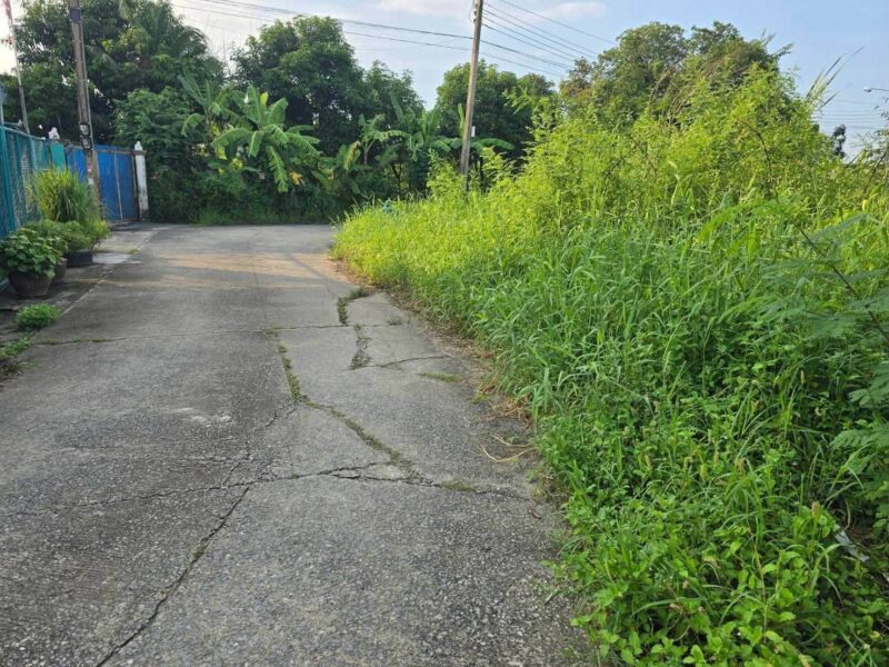 ขายด่วนที่ดินใกล้เทศบาลเมืองพิมลราช 60 ตรว ติดถนนคอนกรีตสาธารณะ แปลงมุม ซ.หมอเหลียง บางบัวทอง นนทบุรี